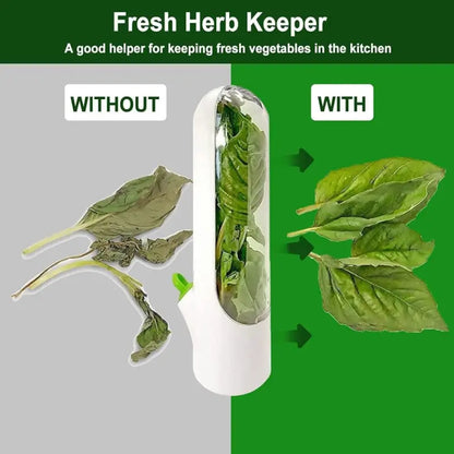 Acrylonitrile Butadiene Styrene Abs Herb Savor Pod white-transparent BPA Free The Fridge Small Vegetable, Parsley, Asparagus, Keeps Greens Fresh For 2-3 Weeks (Pack of 1, White).